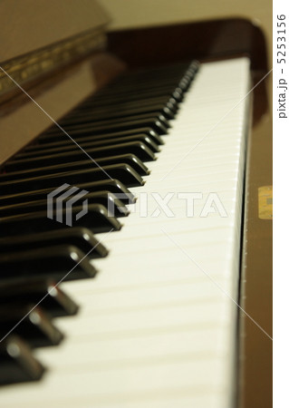 ピアノの鍵盤 ピアノの鍵盤 5253156