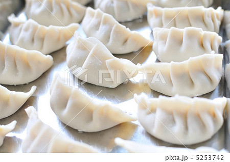 餃子 5253742