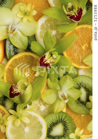 ジューシー 5253988