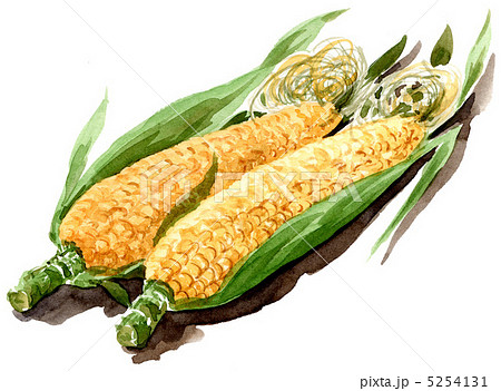 Cornpixのイラスト素材