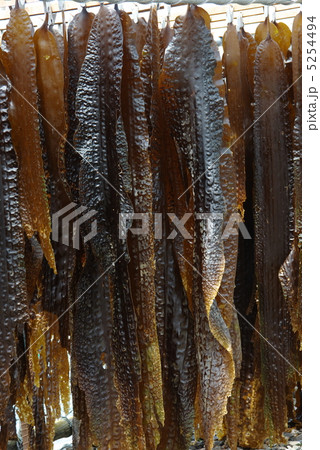 がごめ昆布 5254494