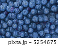 画面一面に広がるブルーベリーの果実 5254675