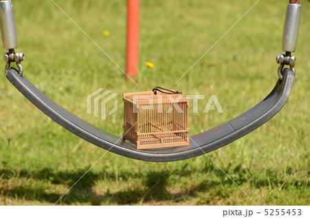 虫カゴ　 5255453