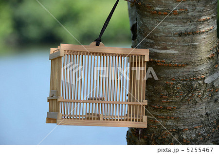 虫カゴ　 5255467