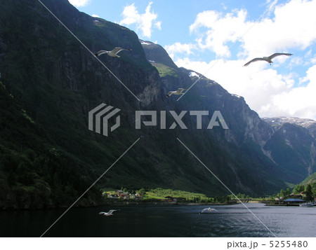 ノルウェー　フィヨルド 5255480