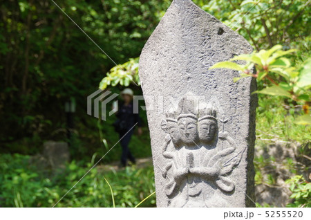 西の河原公園 5255520