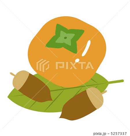 柿の実とドングリ 5257337