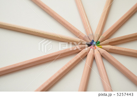 色鉛筆（円陣） 5257443