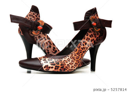Tiger leather shoes on white Tiger leather shoes on white 5257814
