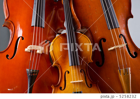 Music Cello in the dark room Music Cello in the dark room 5258232