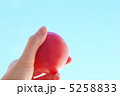 トマト＆青空 5258833