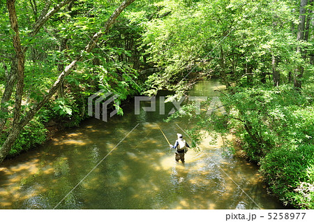 湯川 湯川 5258977