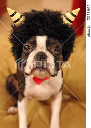 鬼は外？ 5258996