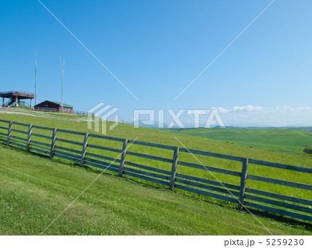 多和平 多和平 5259230