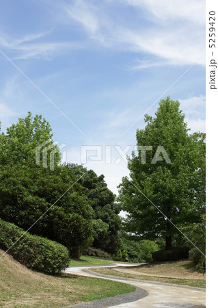 曲がった小路 5259420