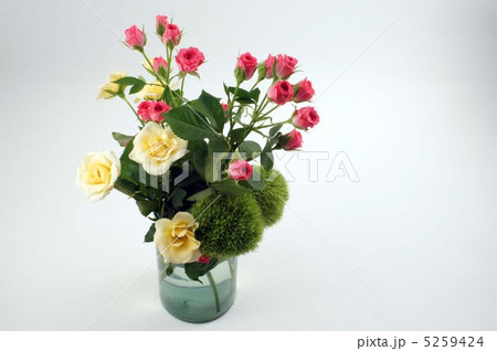 バラと丸い花　 5259424