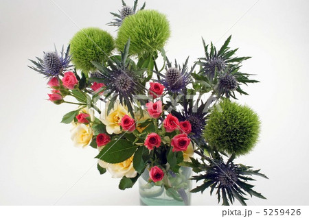 バラと丸い花 バラと丸い花 5259426