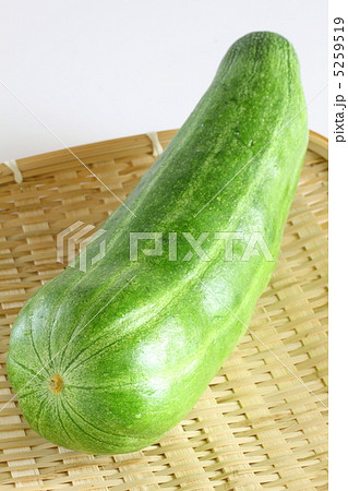 はぐら瓜 はぐら瓜 5259519