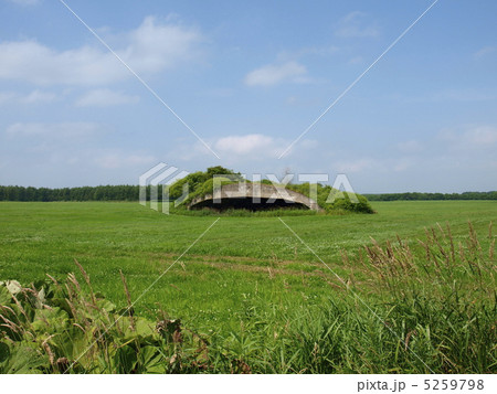 陸軍航空隊の掩体壕 5259798