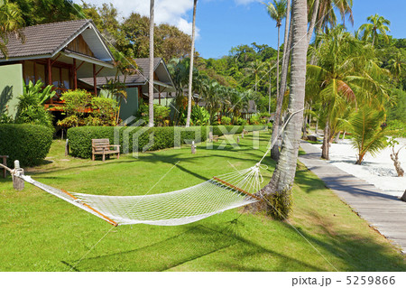 Tropical Resort Tropical Resort 5259866