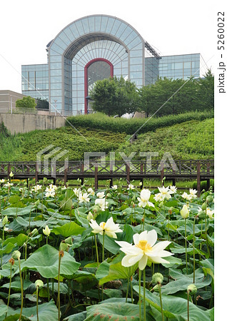 あいち健康プラザと蓮の花 5260022