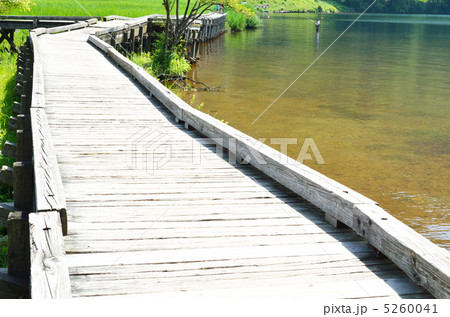 榛名湖　遊歩道 5260041
