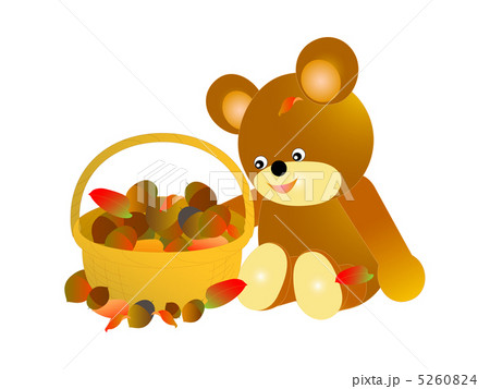 秋のどんぐり 秋のどんぐり 5260824