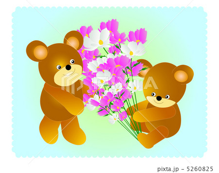 コスモス 5260825