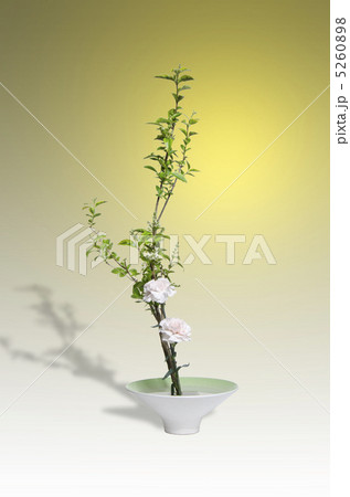 いけばな 5260898