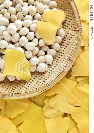 イチョウ全面タテ03 5261454