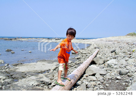 流木で遊ぶ子供 流木で遊ぶ子供 5262248