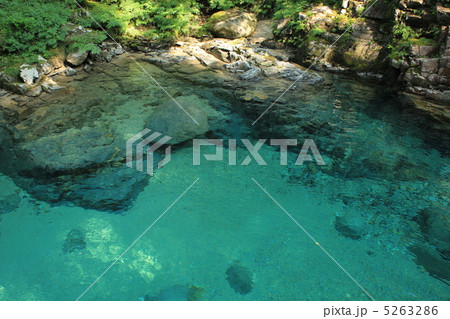 阿寺渓谷 5263286