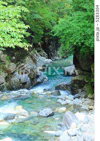阿寺渓谷　夏 5263304