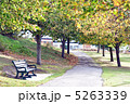 秋の公園 5263339