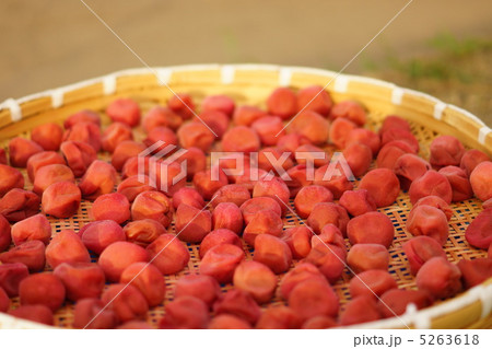 天日干し 5263618