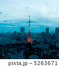 東京宵景 5263671