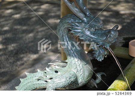 鎌倉本覚寺 手水竜 鎌倉本覚寺 手水竜 5264369