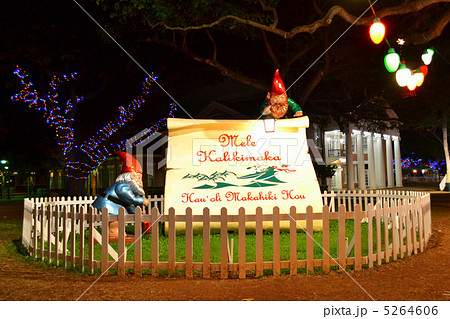 クリスマス ホノルル・シティ・ライツ 5264606