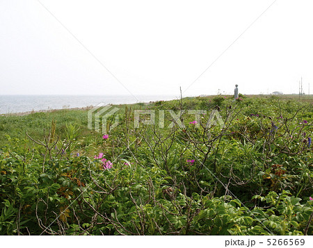 野付半島竜神岬 5266569