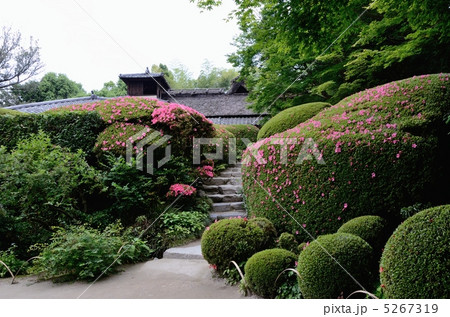 初夏の詩仙堂、サツキと嘯月楼 5267319