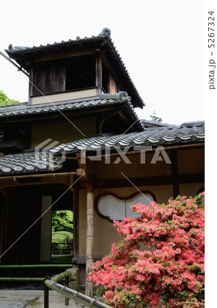 詩仙堂、ツツジと嘯月楼 5267324