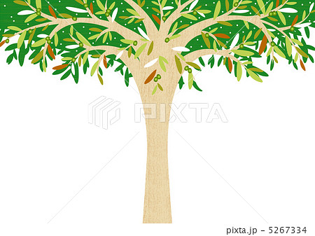 オリーブの木のイラスト素材