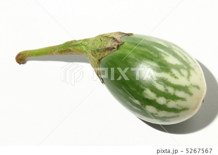 ナス　タイ野菜　タイ食材　タイ王国　　 5267567