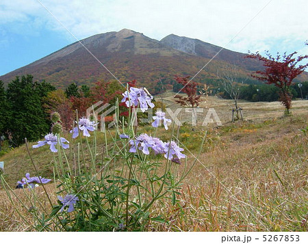 桝水高原 5267853