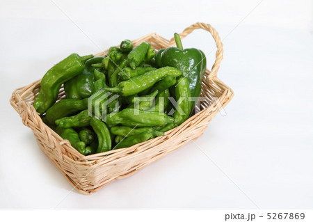 採れたてのししとう 5267869