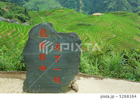 龍脊梯田 中国広西チワン族自治区 龍勝 の写真素材
