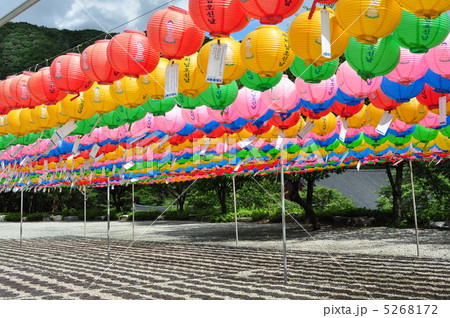 韓国 燃灯 5268172