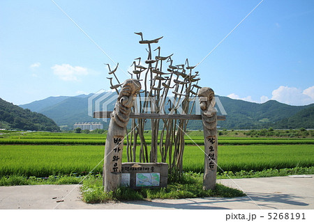 韓国 村の守護神 5268191