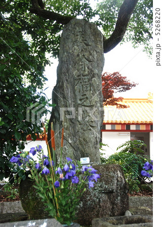 徐福の墓(徐福公園/和歌山県新宮市) 徐福の墓(徐福公園/和歌山県新宮市) 5268220