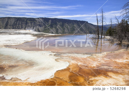 イエローストーン国立公園 5268298
